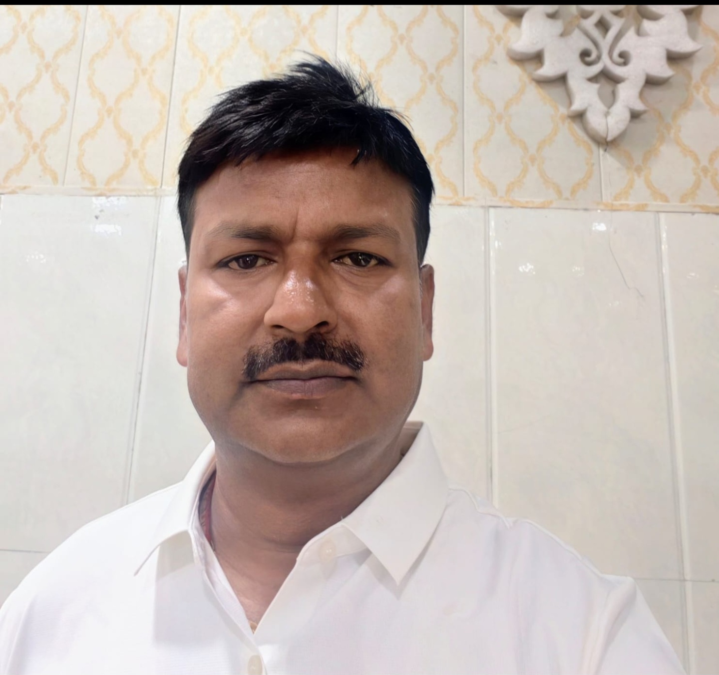 टीम सदस्य