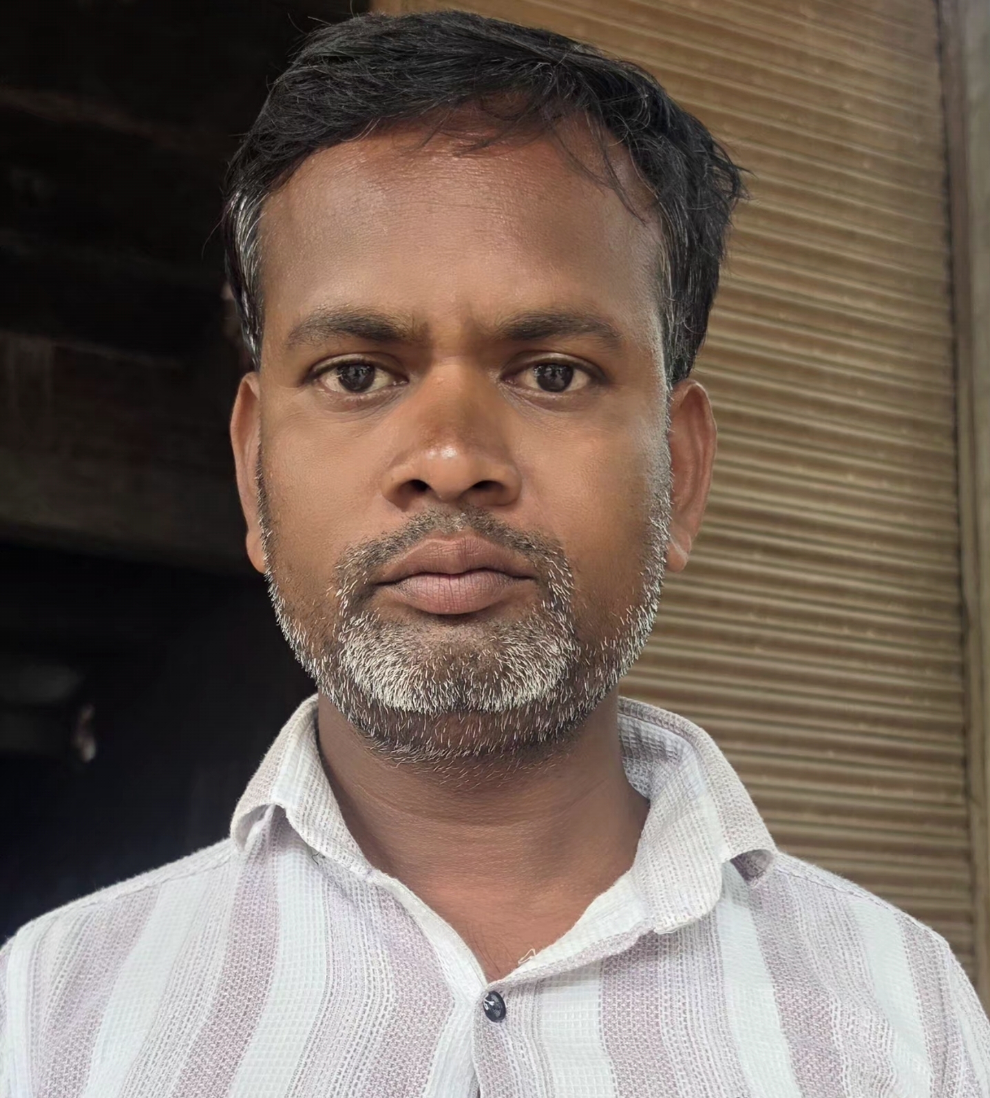टीम सदस्य